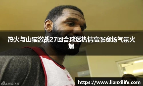 热火与山猫激战27回合球迷热情高涨赛场气氛火爆