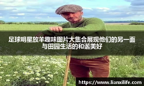 足球明星放羊趣味图片大集合展现他们的另一面与田园生活的和谐美好